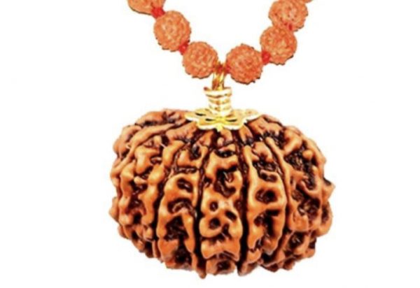 11 Faced Original Nepali Abhimantrit Rudraksha (With Silver Capping)