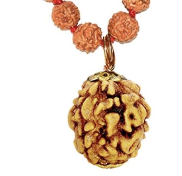 3 Faced Original Nepali Abhimantrit Rudraksha (With Silver Capping)