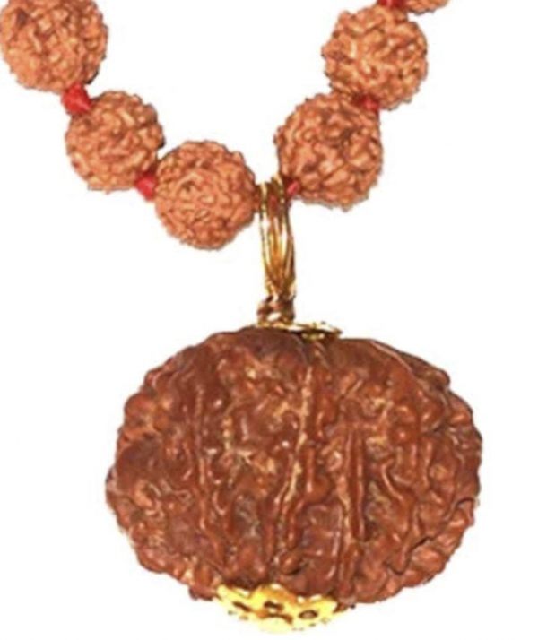 8 Faced Original Nepali Abhimantrit Rudraksha (With Silver Capping)