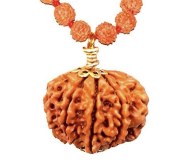 9 Faced Original Nepali Abhimantrit Rudraksha (With Silver Capping)