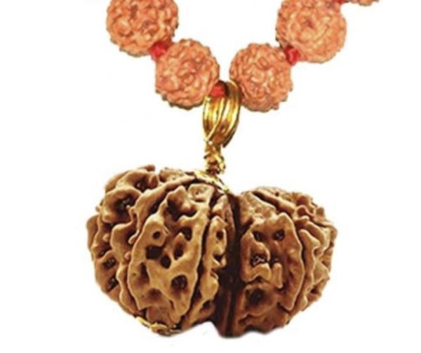 Gauri Shankar Original Nepali Abhimantrit Rudraksha (With Silver Capping)